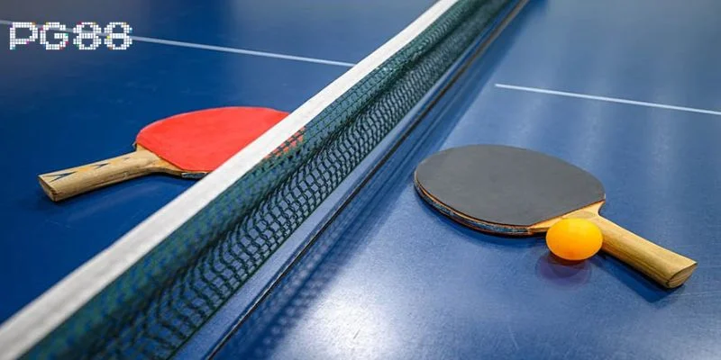 Cá Cược Bóng Bàn Thua Lỗ Do Đâu? Giải Mã Hay Cùng PG88 2 Cá cược bóng bàn là bộ môn cược thể thao không quá khó.